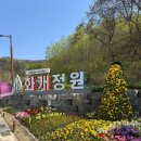 자연속풍경 용항민박 | [강화도 교동도 당일치기 여행] 화개정원, 화개산 전망대
