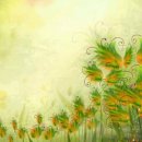 소리공인중개사사무소 이미지