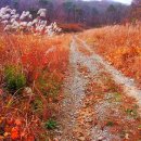 비내길 2구간 이미지