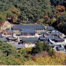 해인사 소리길 이미지