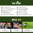 월드체인 이미지