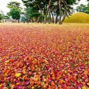 운종경로당 이미지