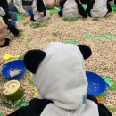 몰체험센터 | 군산 롯데몰 문화센터 체험후기 - 방그리 / 리틀자이언트 (6개월아기👶🏻)