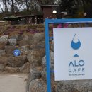 cafe ALO(카페 알로)