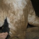 세원세탁 이미지