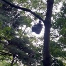 합천이모 이미지