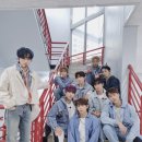 다크비 카카오 검색결과