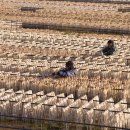 바다사람들 이미지