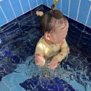 예전 아넥스 이미지