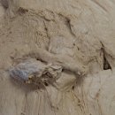 좋은날피에스타 이미지