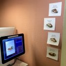 도그먼트 | [이태원 카페] 반려동물과 함께 즐기는 디저트 맛집 '레잇먼트'