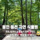 명가김밥천국(동천점) | [용인 아이와 가볼만한곳] 동천 자연 식물원: 텐트 피크닉 &amp; 동물 체험 완벽 가이드