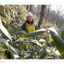 벽계정 | 백두대간 제 47차 육십령~영취산~중재 14.03.15 산행후기글.