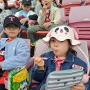 유일 효 태권도 이미지