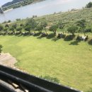 강가애하루 | 공주 고마스크린 카카오 프렌즈 스크린 골프 후기, 골린이 골프