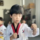 무혼 국가대표 MAS 태권도장 이미지