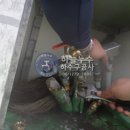 둥근섬로 이미지