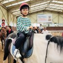 🏇김해 승마체험🏇 이미지