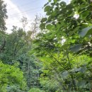 우면산6-9 이미지