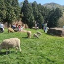 달아목장 이미지