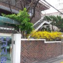 대성 행정사 이미지