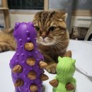 티렉스덴탈 이미지