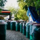 신토불이 광천토굴새우젓 이미지