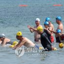 제주에핀초