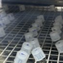 (주)단비 바이오 | [바이오 실무 교육 5주차] protein expression