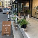 하유플라워