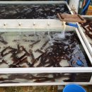 수협공영주차장 이미지