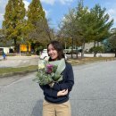 이마트24 파라다이스 도고점 | 파라다이스 도고 로우시즌에 생일자 무료로 즐기고 온 후기