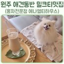 아나엘티하우스 | 원주 카페 명륜동 홍차전문점 밀크티맛집 아나엘티하우스 실내 애견동반 내돈내산