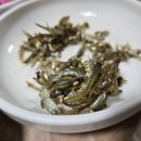 사천오리 Daum카페