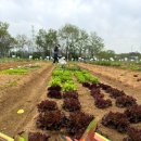 무럭이농장 이미지