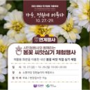 정원에 머물다 이미지