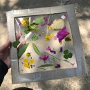 수정 작은도서관 이미지