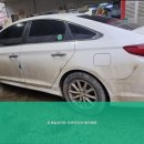 세일세차장 이미지