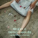 매이븐 이미지