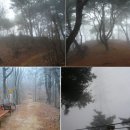 사동복지회관 이미지