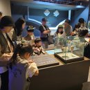 부여(사비)-07 이미지