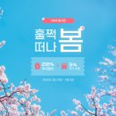 주식회사 베스트힐링 | 시드니 포트스테판 사막 투어::호주 3월 4월 날씨, 복장, 모래썰매, 돌고래 크루즈, 할인 팁