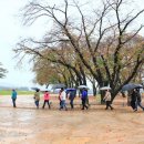 익산황등도서관 이미지