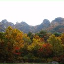 용당1리 이미지