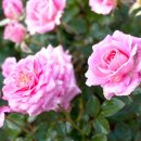 누리허브 이미지