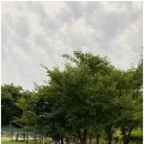안성가볼만한곳 안성맞춤랜드 산책하다 만난 남사당패 이야기
