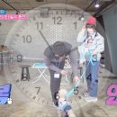 펫시터(반려견) 자격증 과정 이미지