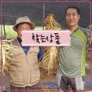 양선농장 | 1채 수삼 풍기인삼 5년근 인삼 6년근 미세척 9~16뿌리 영상구요