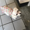 20180305~0312 / 비 온 뒤 땅은 단단해진다