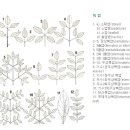 도해 이미지